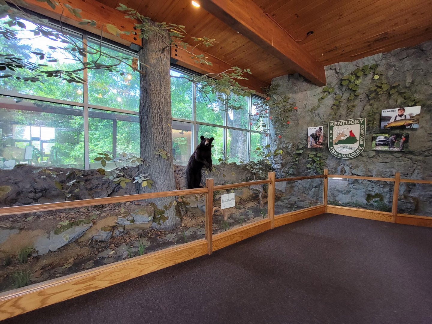 Salato - Bear diorama inside entrance