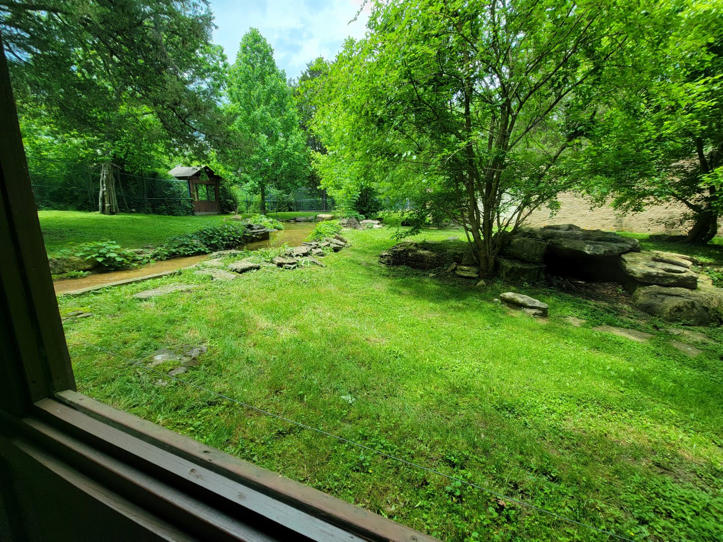 Salato - Bear viewing from glass windows