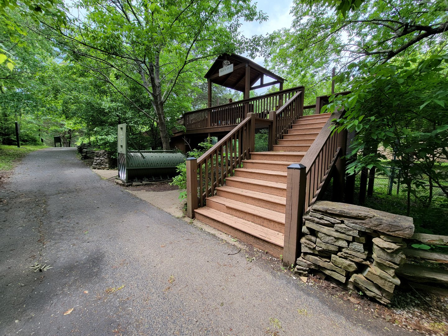 Salato - Bear viewing