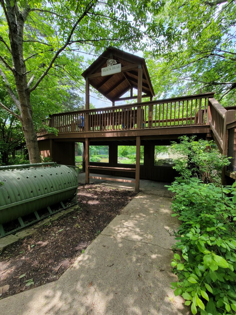 Salato - Bear viewing