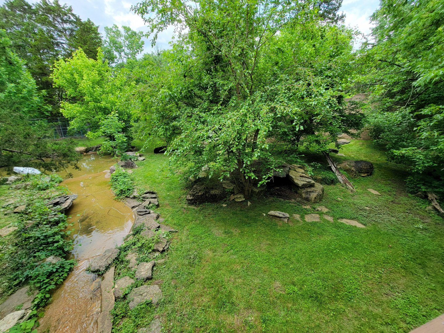 Salato - Bear yard from platform