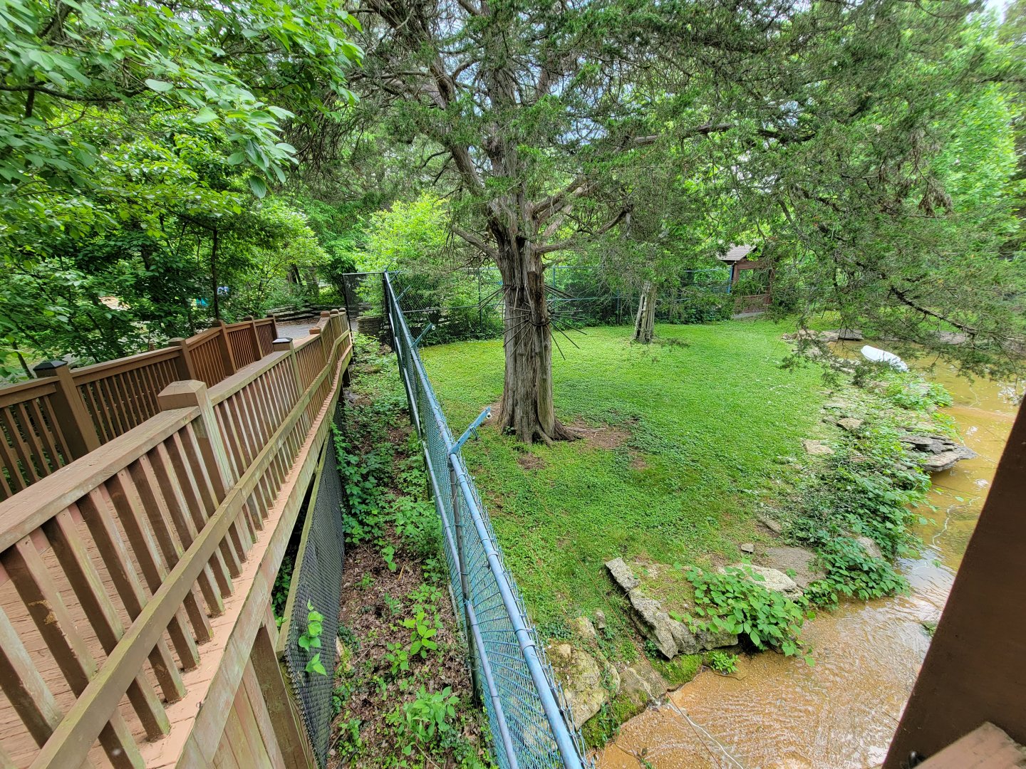 Salato - Bear yard from platform