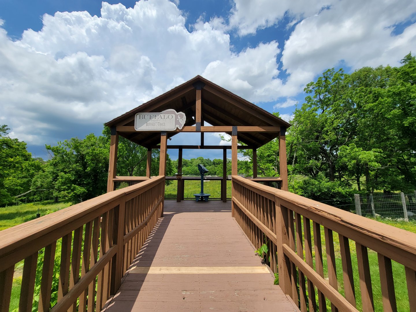 Salato - Bison viewing platform