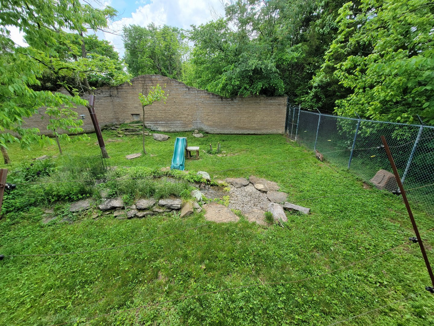 Salato - Bobcat yard