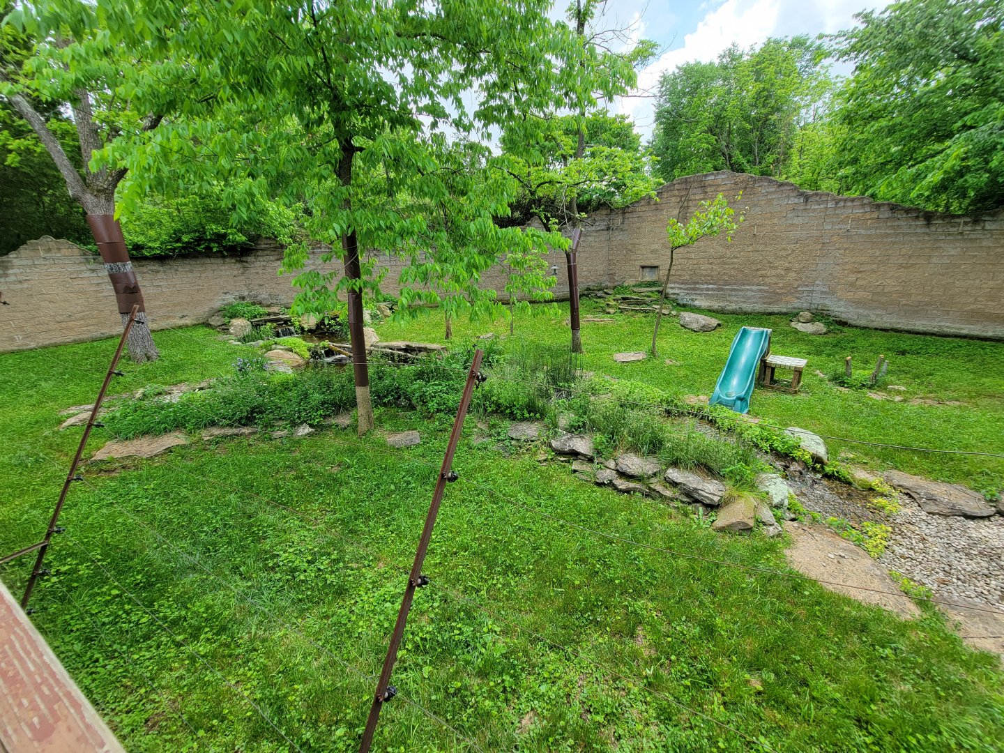 Salato - Bobcat yard