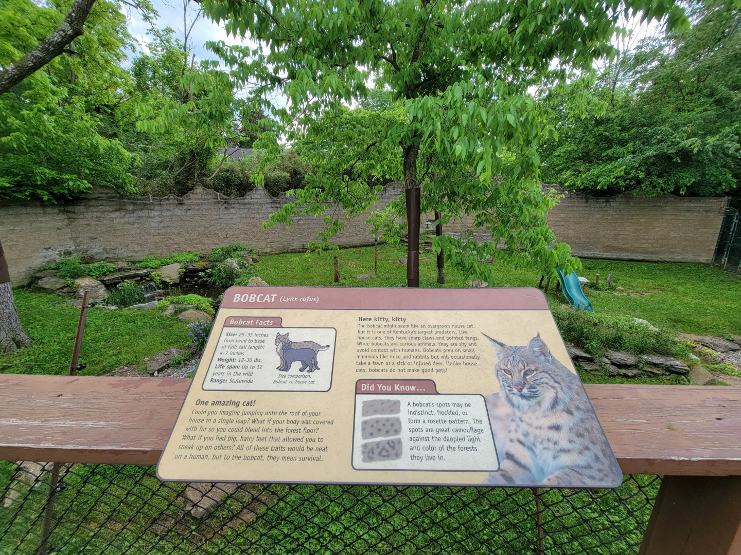 Salato - Bobcat yard