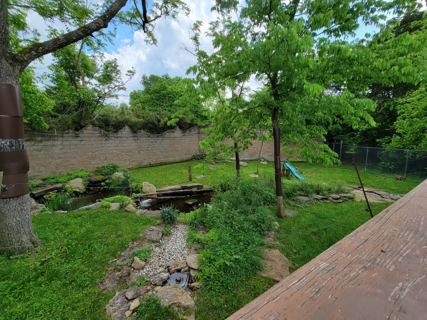 Salato - Bobcat yard