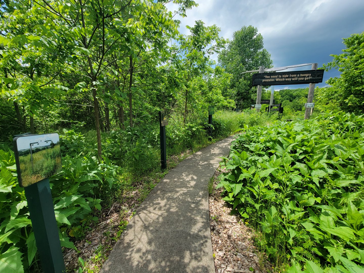 Salato - Bobwhite - Food and water path, with signs to lift up