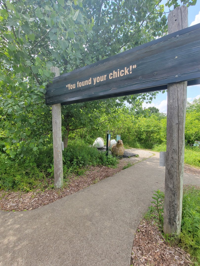 Salato - Bobwhite - You found your (gigantic) chick!