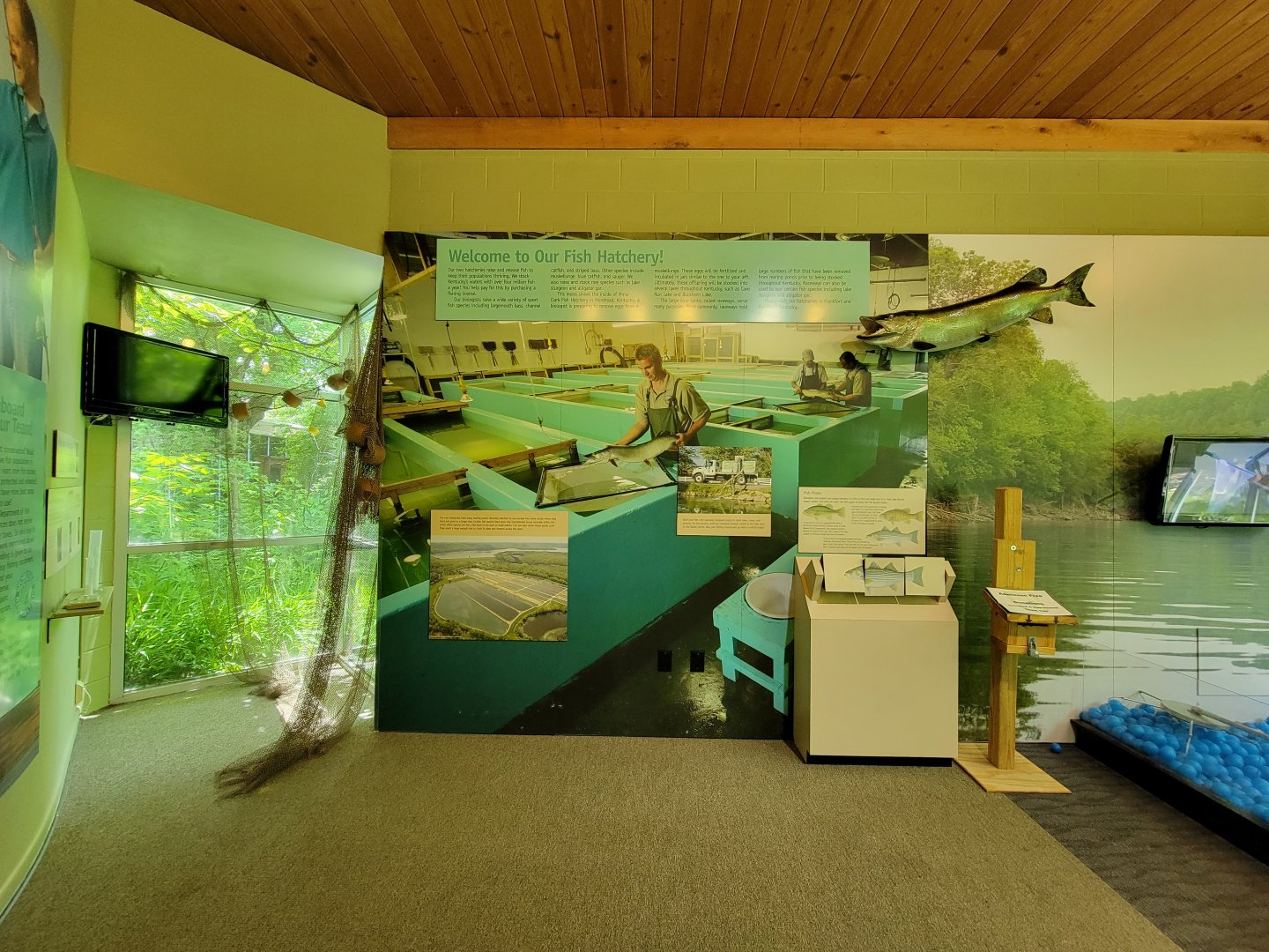 Salato - Fishing info