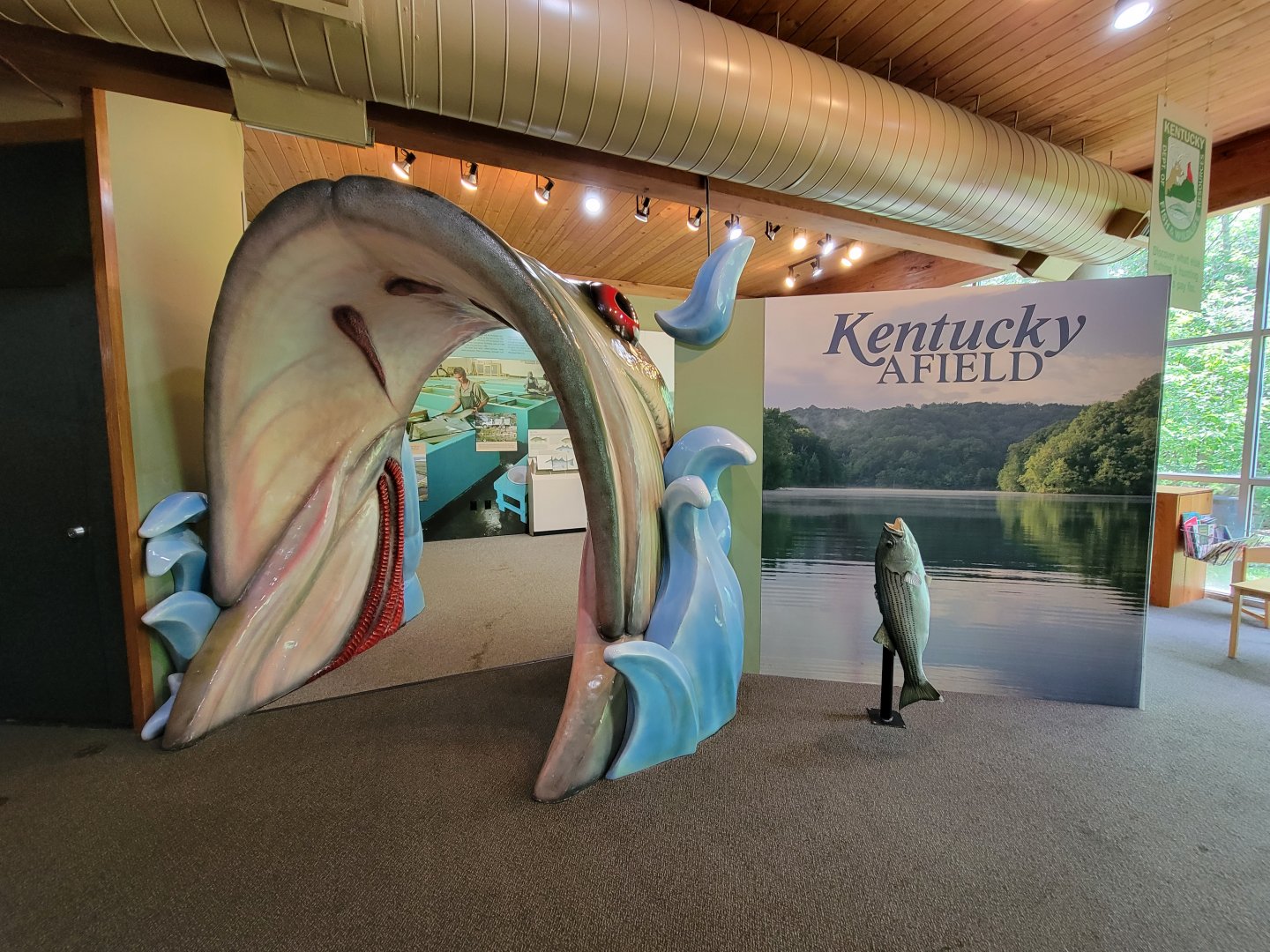 Salato - Fishing stuff