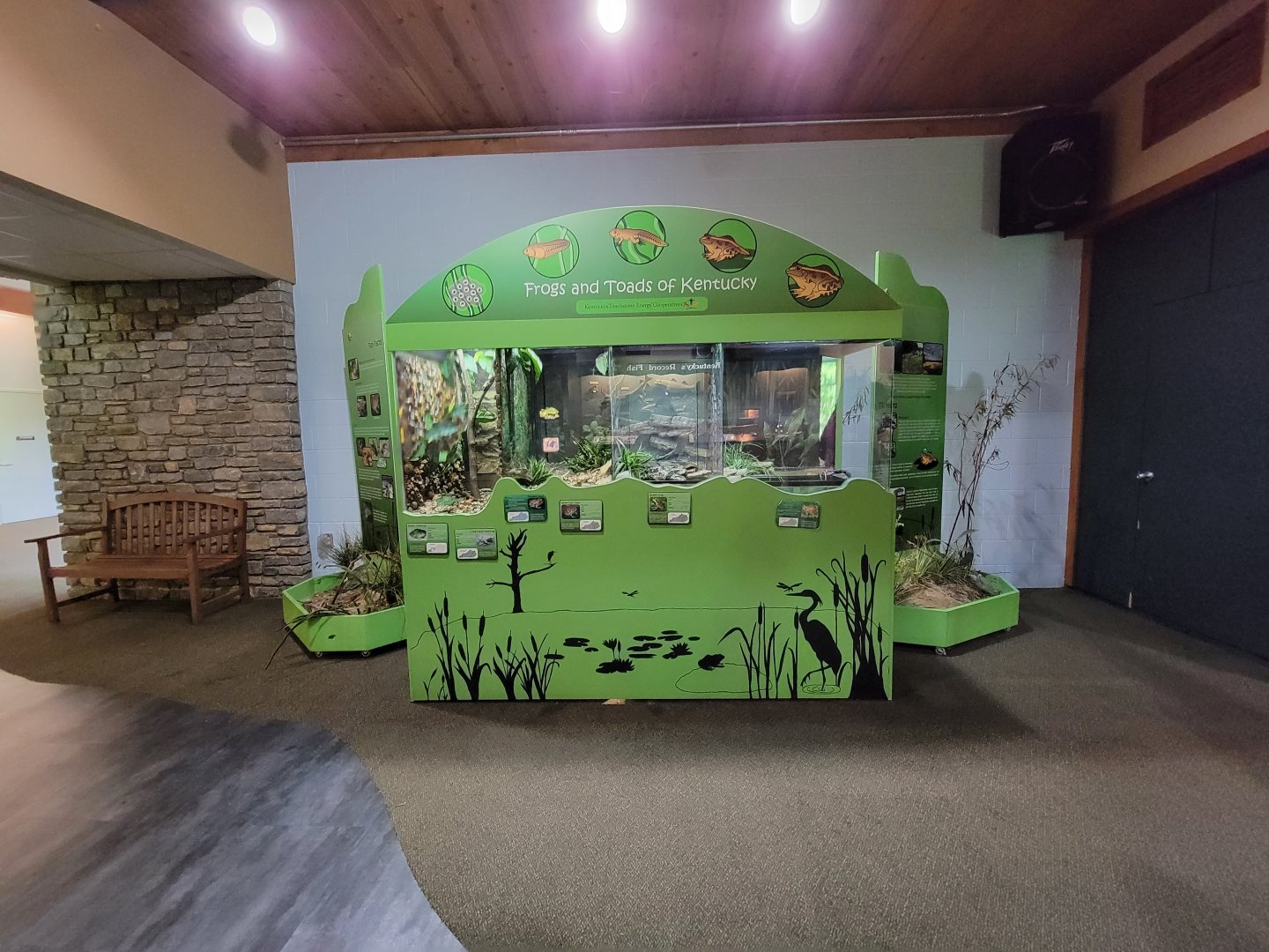 Salato - Frogs & toads of Kentucky