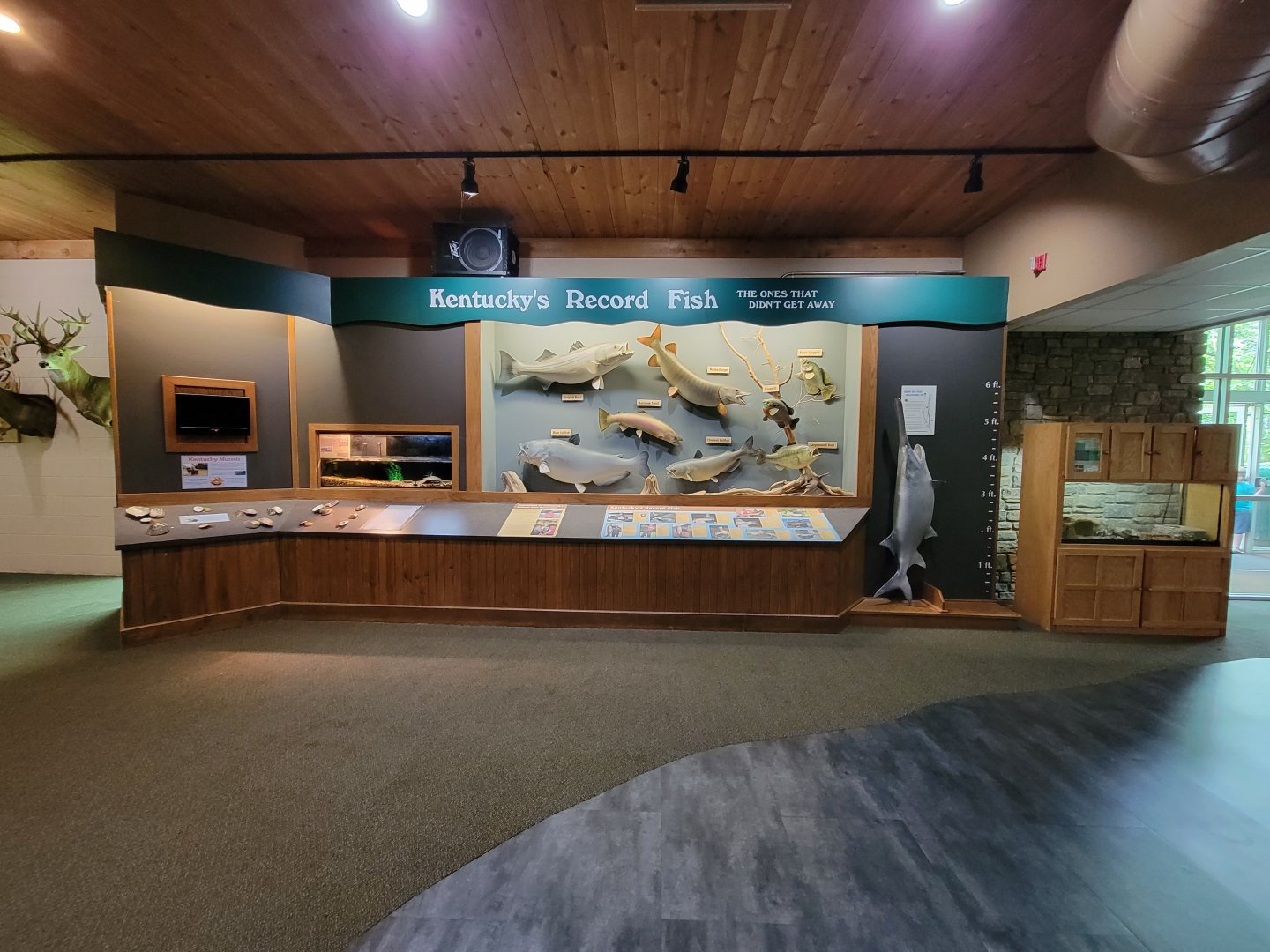 Salato - Kentucky's record fish