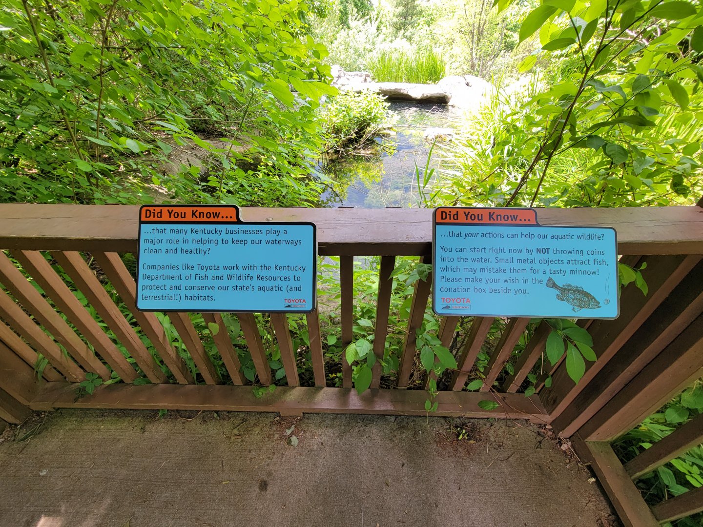 Salato - Living Stream signage