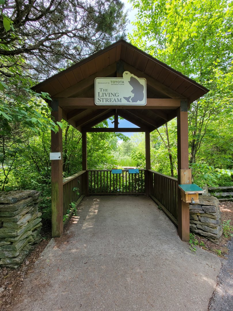 Salato - Living Stream