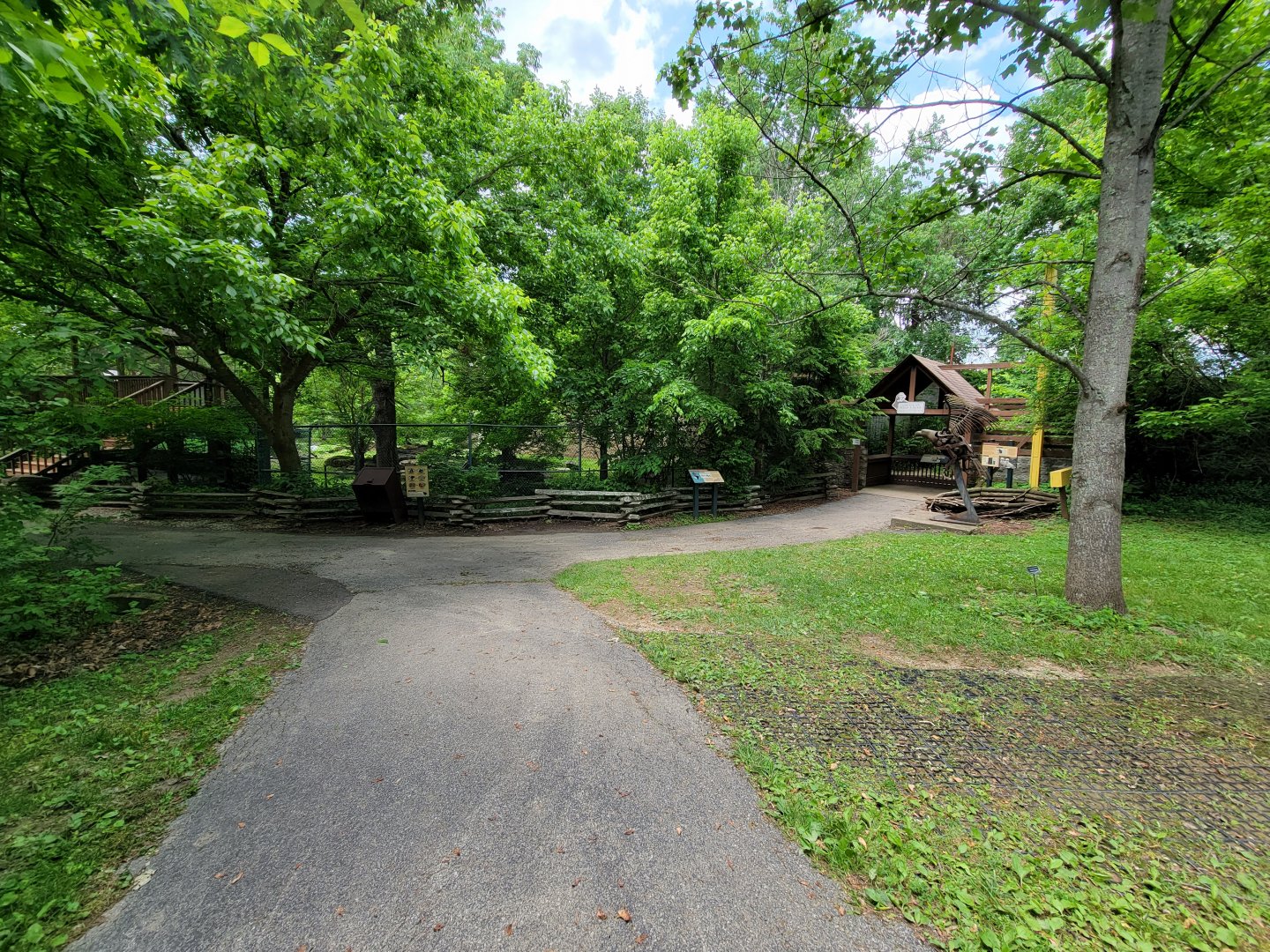 Salato - Path, bear in front, eagle to right