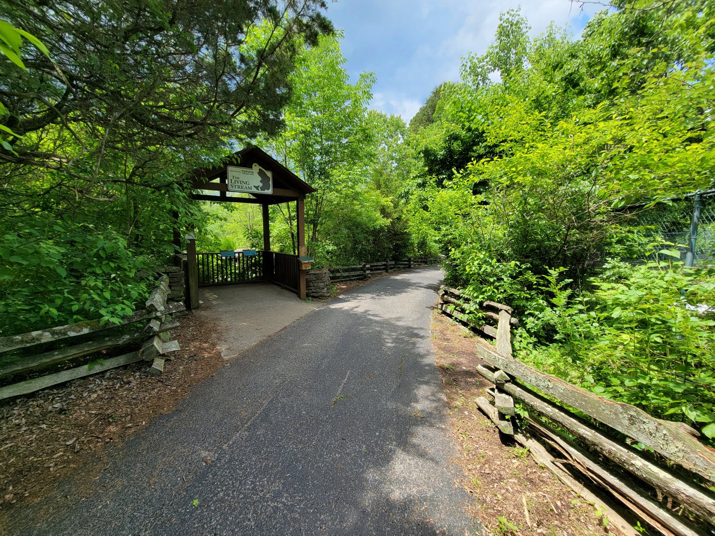 Salato - Path, Living Stream