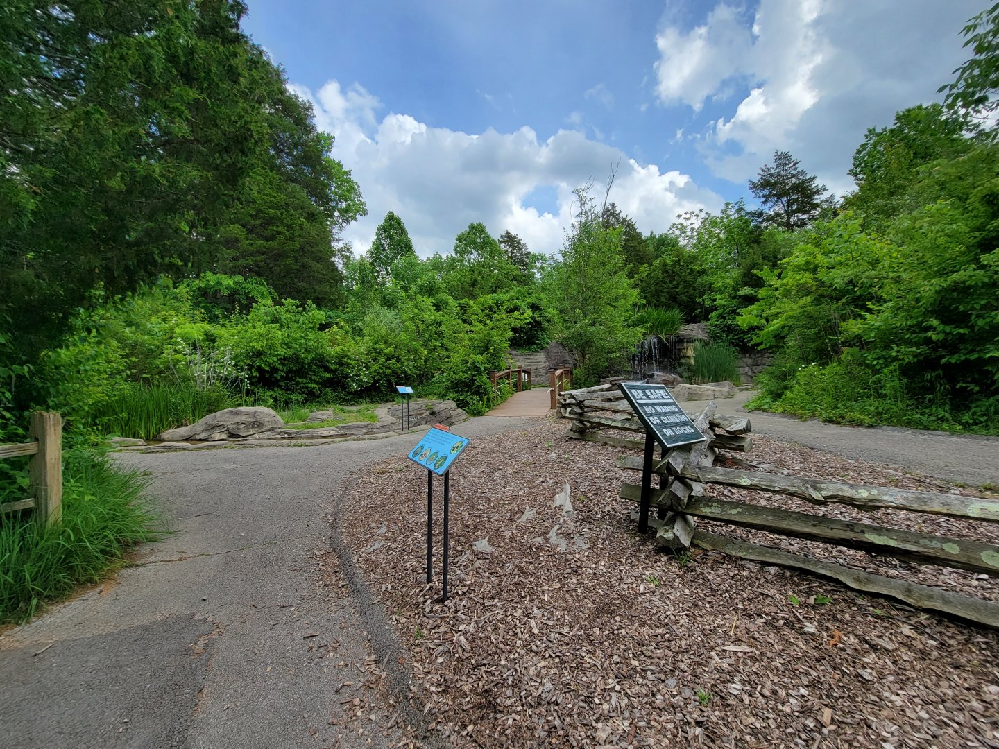 Salato - Path to stream