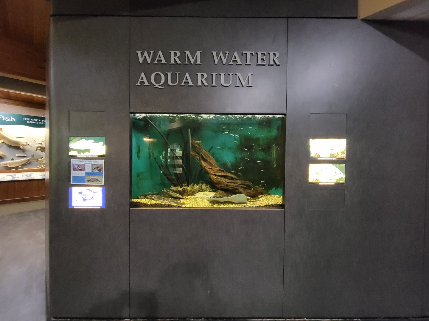 Salato - Redear sunfish, bluegill, largemouth bass, common snapping turtle