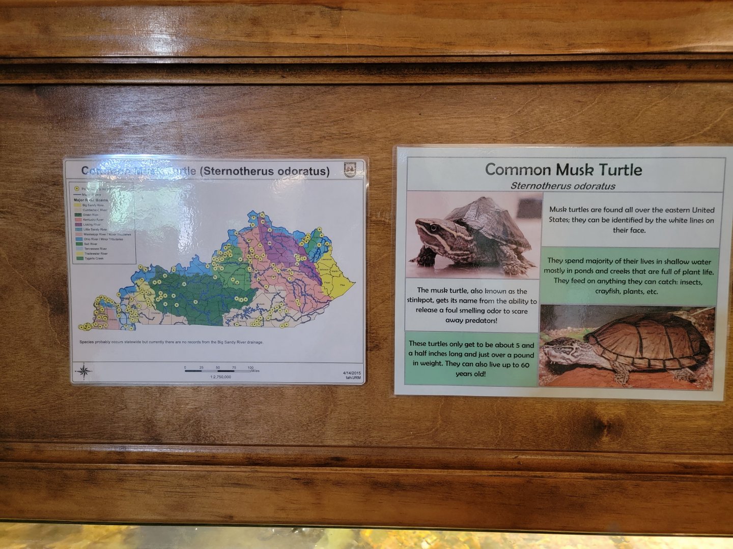 Salato - Signage example