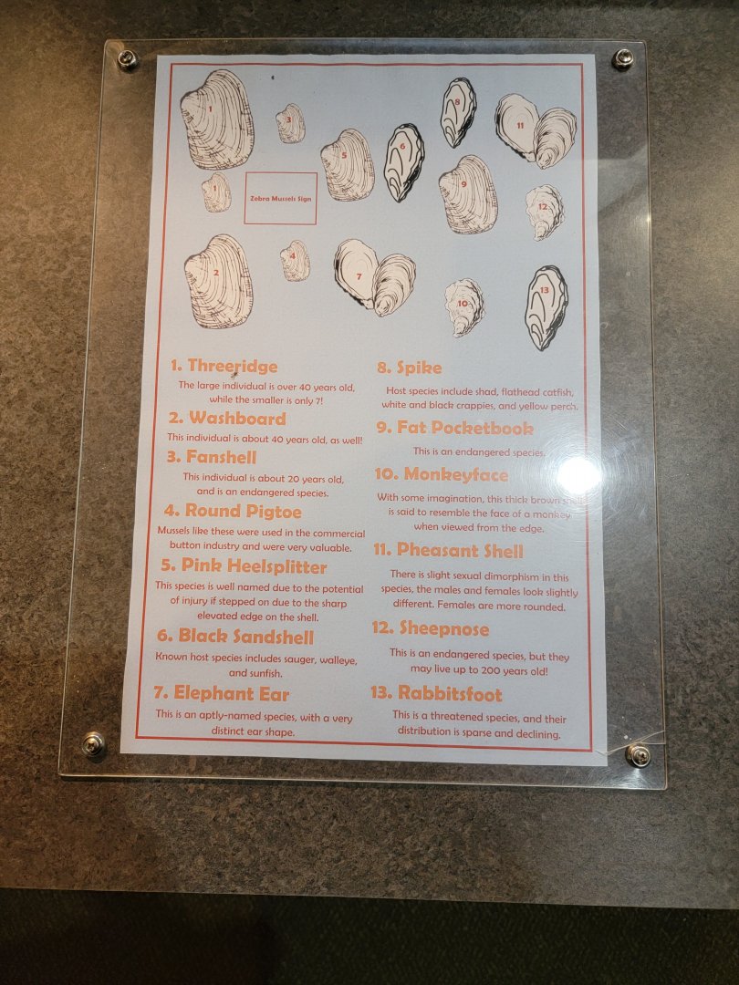 Salato - Signage for mussels