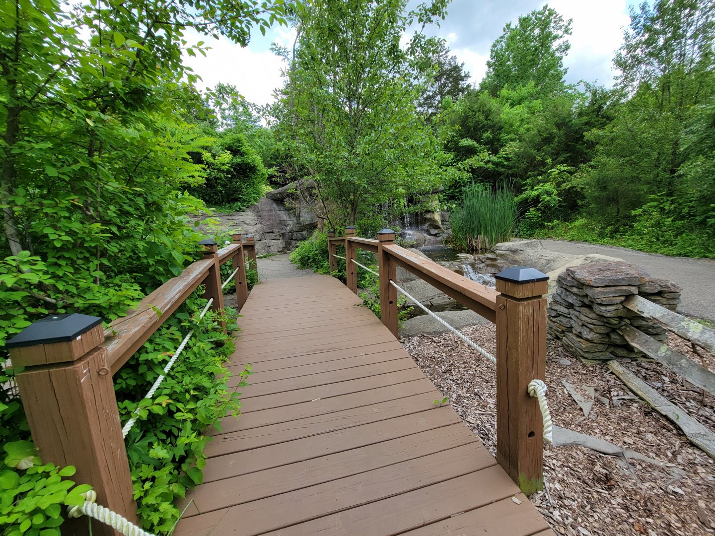 Salato - Stream bridge