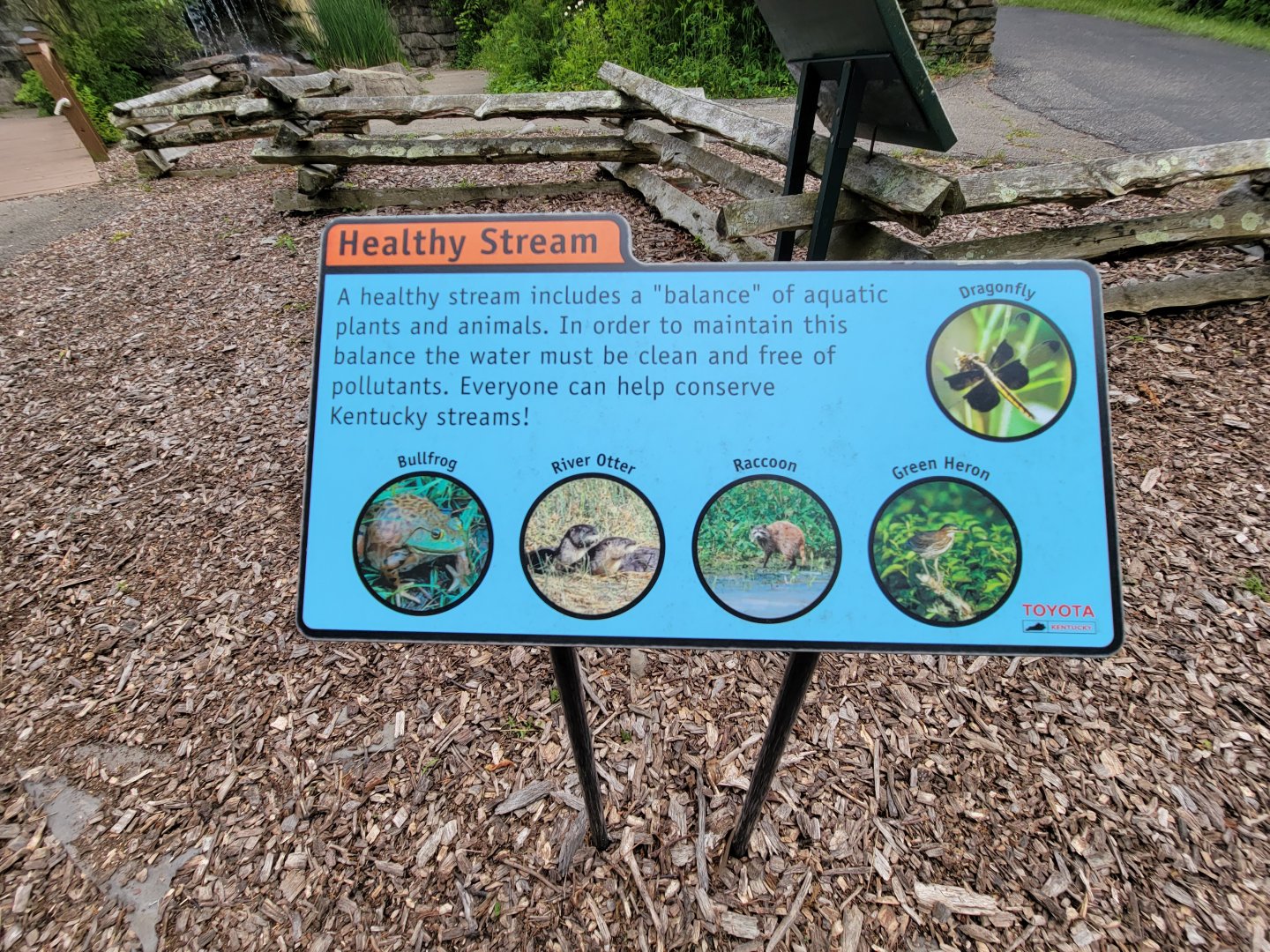 Salato - Stream info