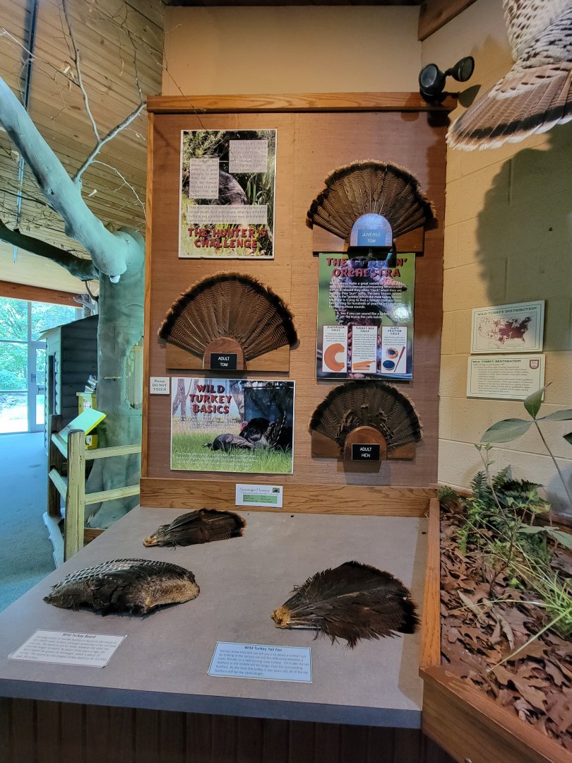 Salato - Turkey info