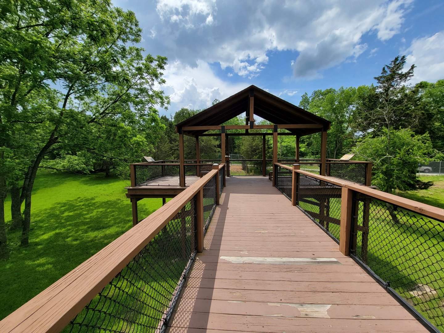 Salato - Whitetail & wild turkey platform