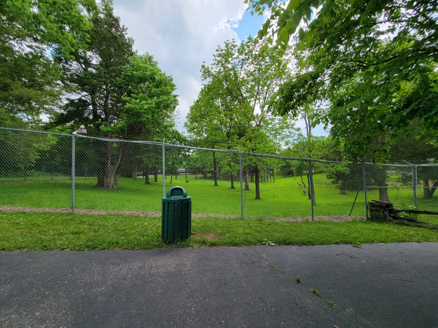 Salato - Whitetail & wild turkey yard