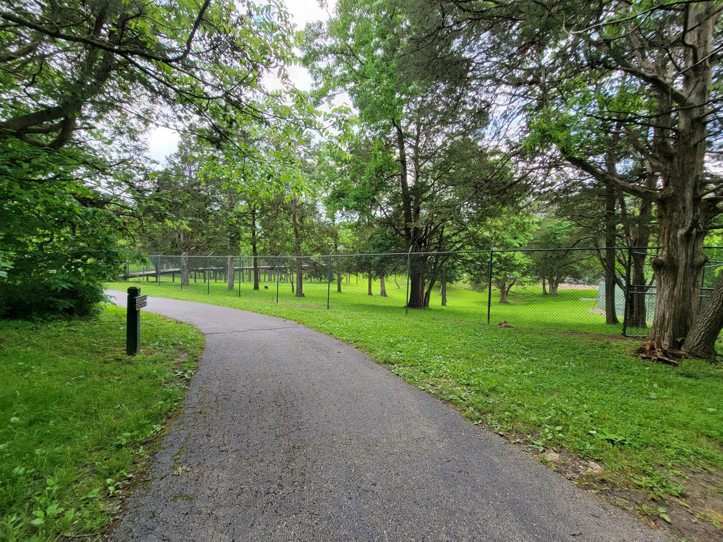 Salato - Whitetail & wild turkey yard