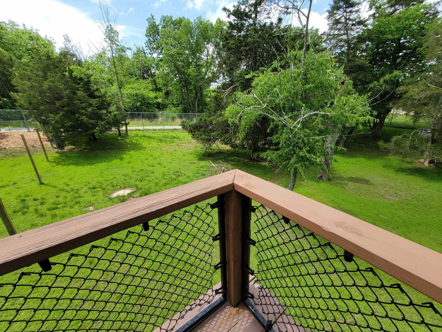 Salato - Whitetail & wild turkey yard