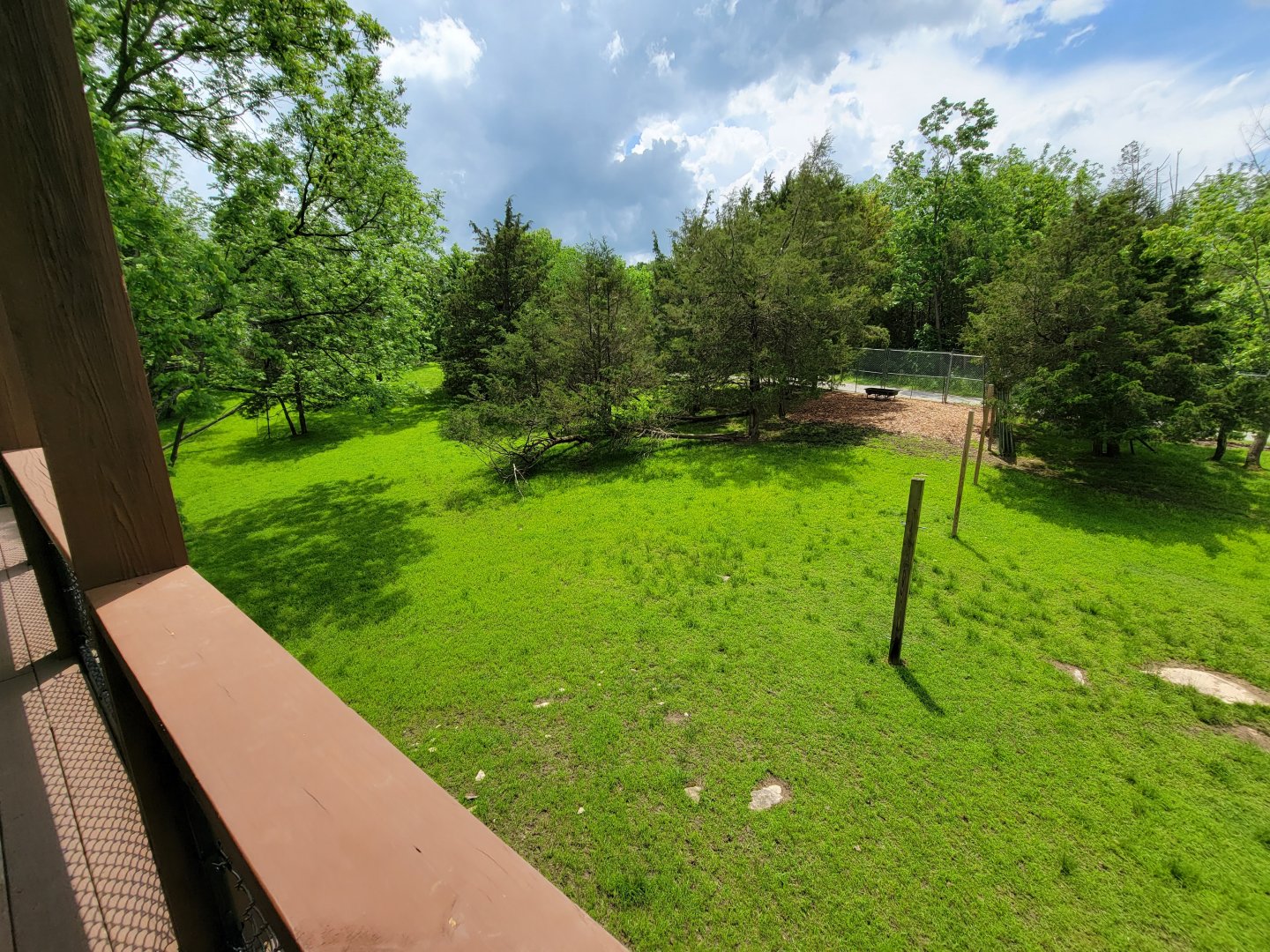 Salato - Whitetail & wild turkey yard