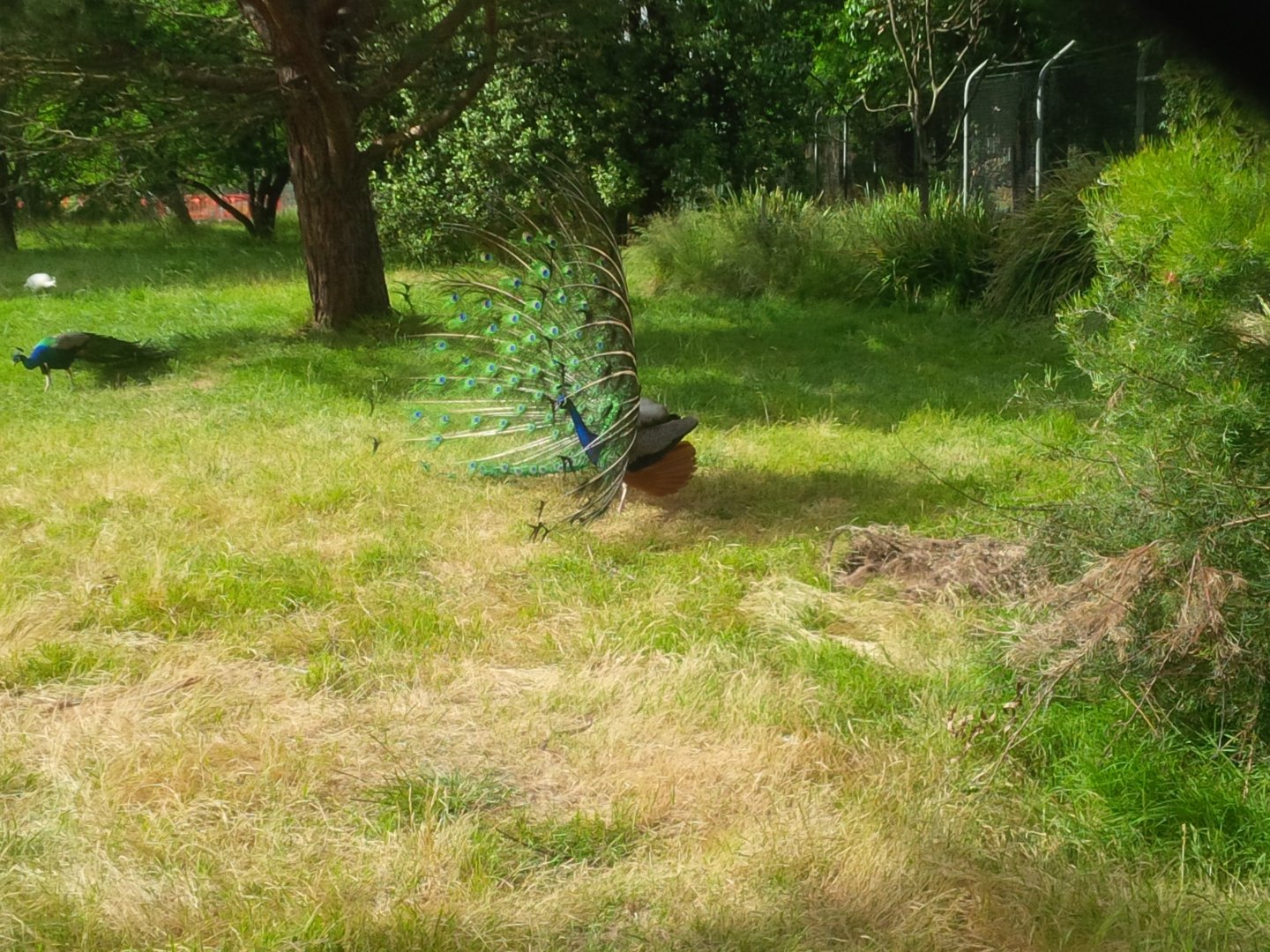 Sale Botanic Gardens