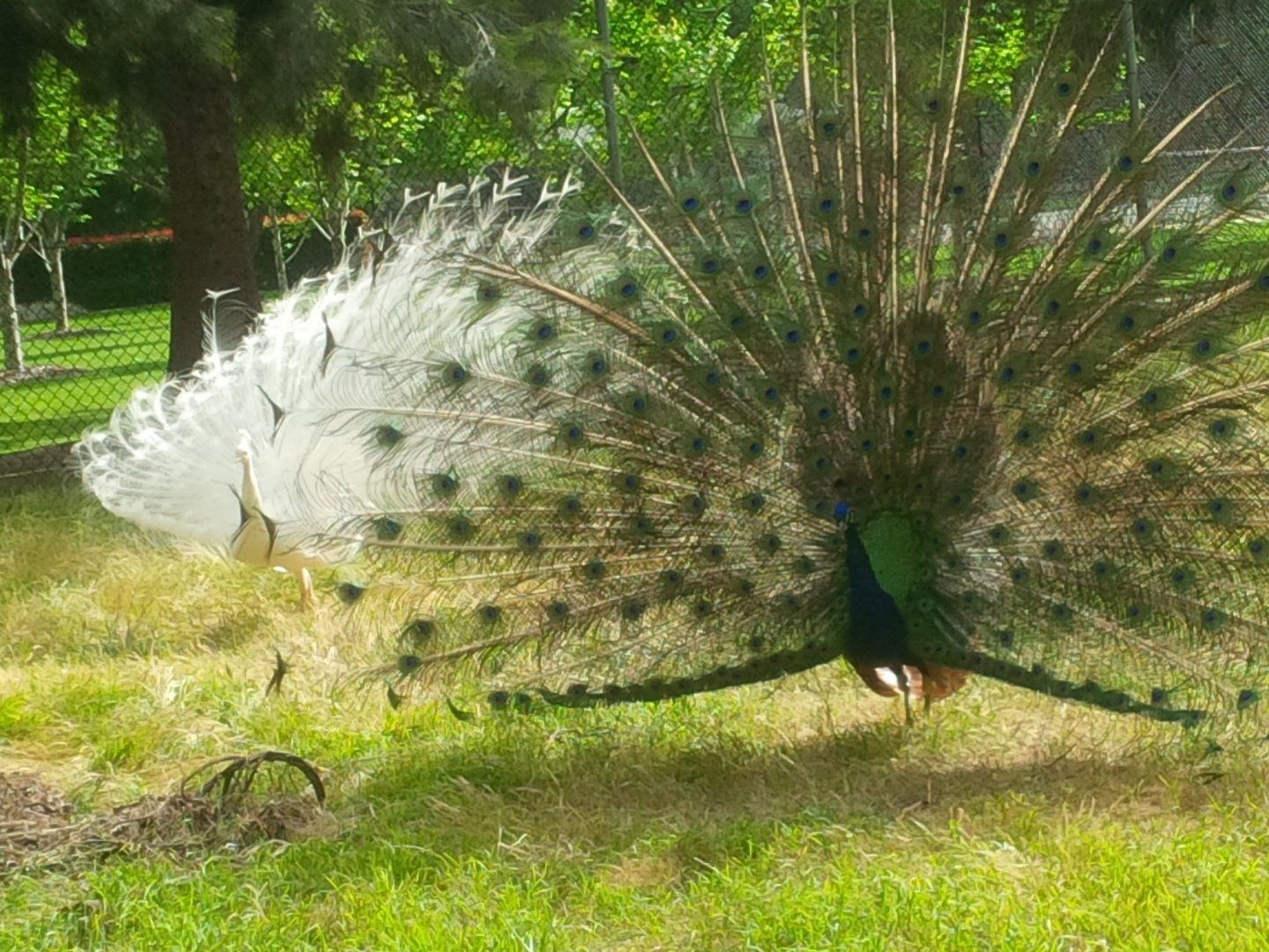 Sale Botanic Gardens