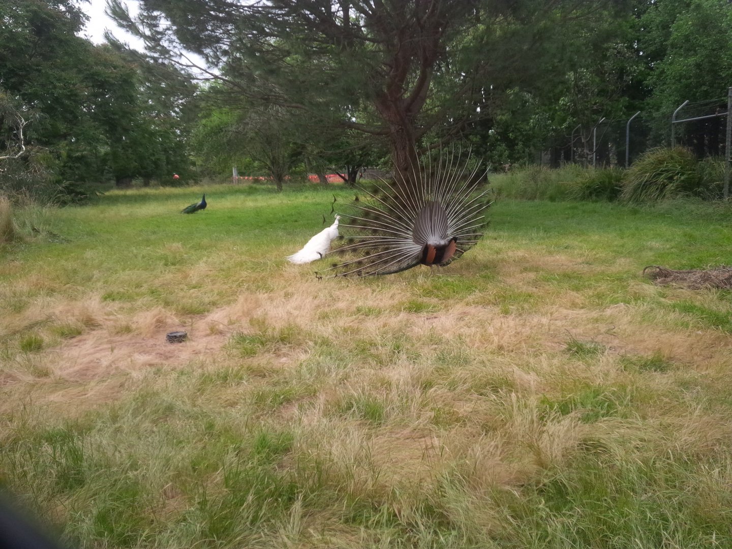 Sale Botanic Gardens