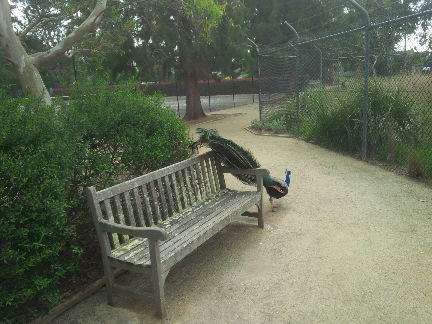 Sale Botanic Gardens