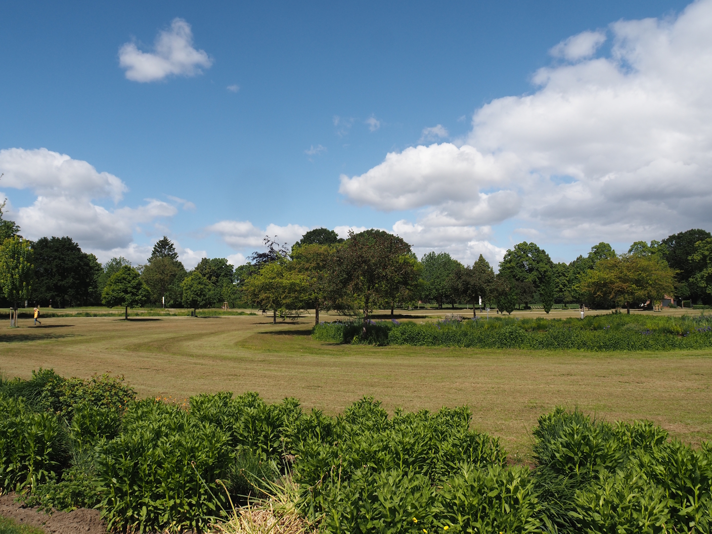 Salinenpark next to NaturZoo Rheine, 2025-05-22