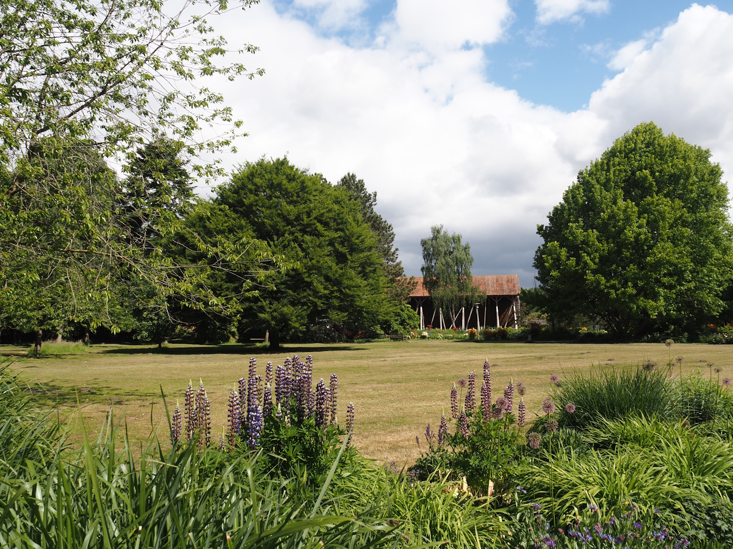 Salinenpark next to NaturZoo Rheine, 2025-05-22
