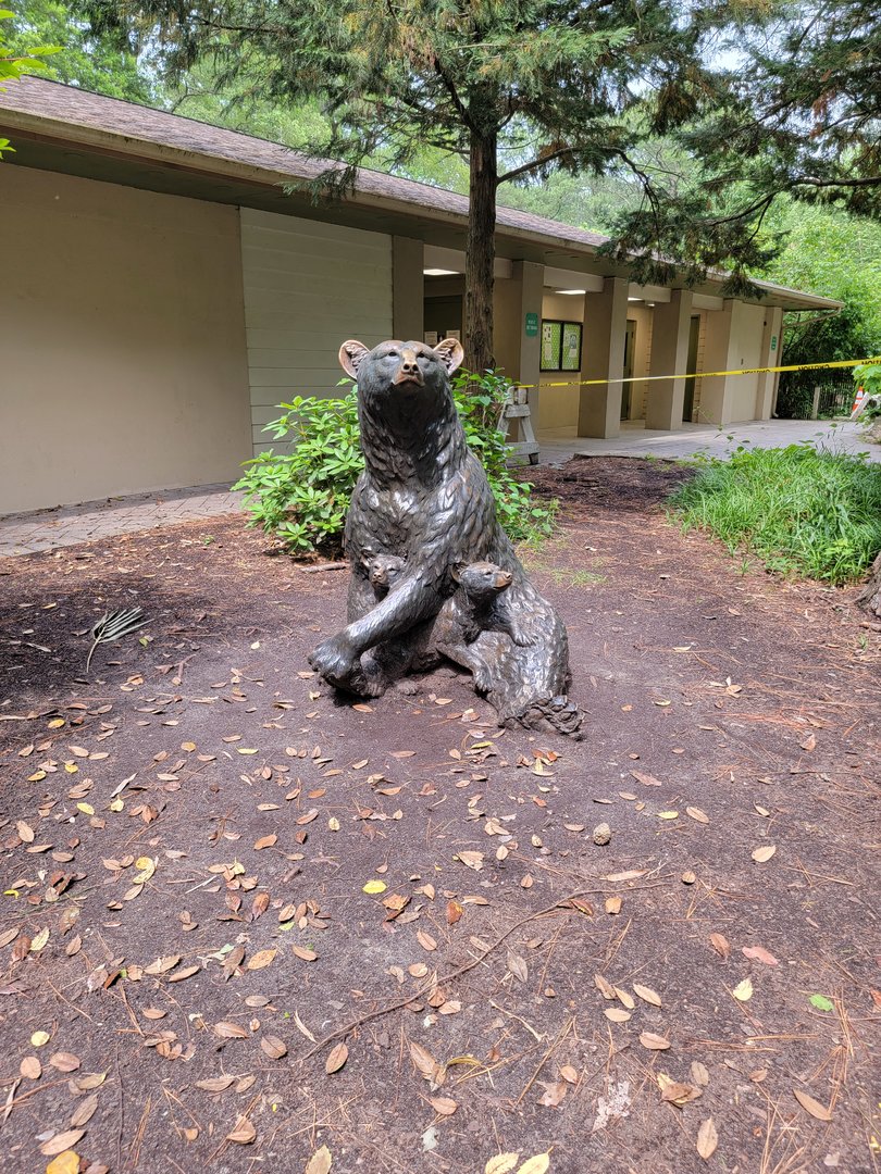 Salisbury - Andean bear statue