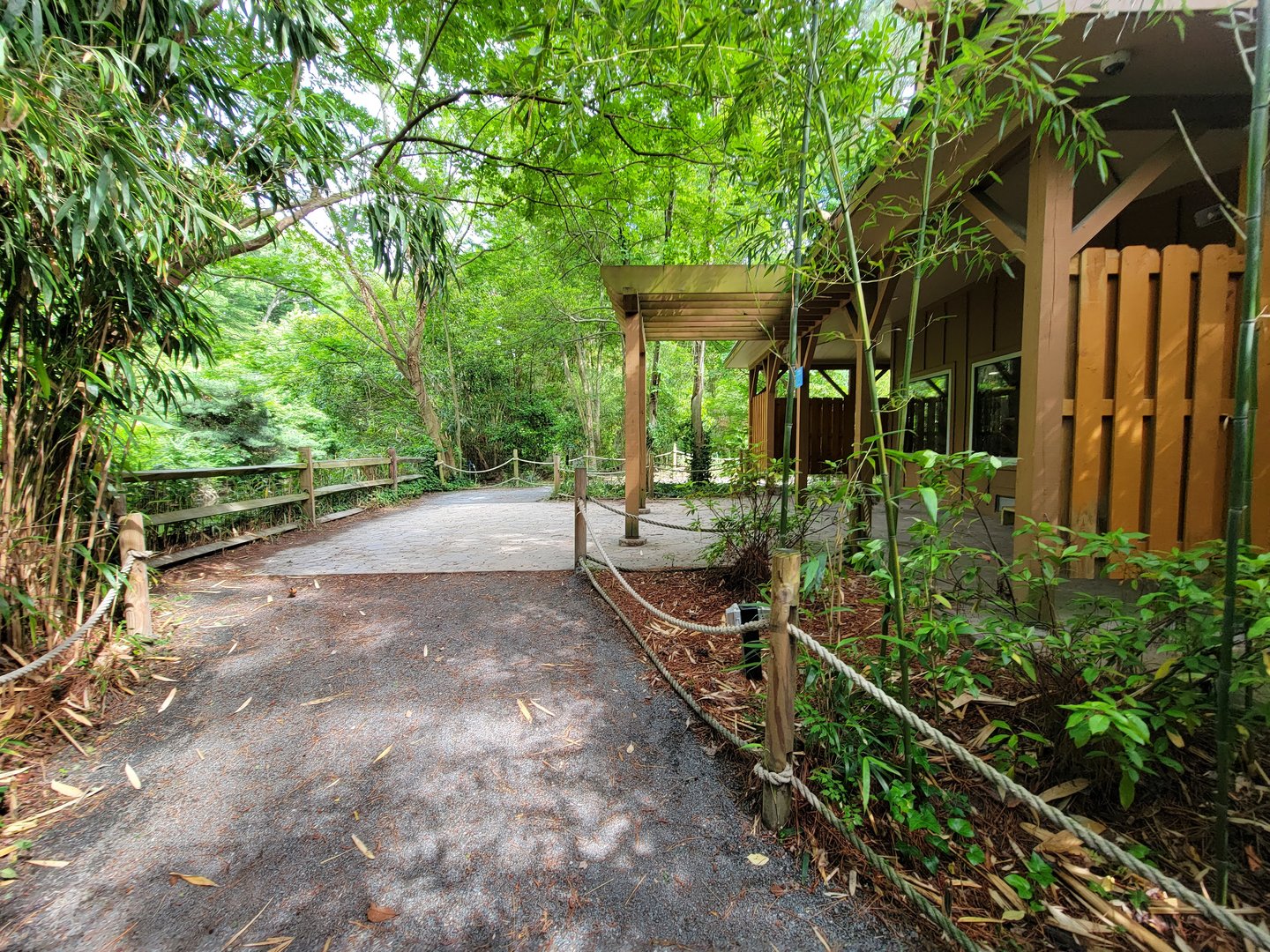 Salisbury - Back of herp building