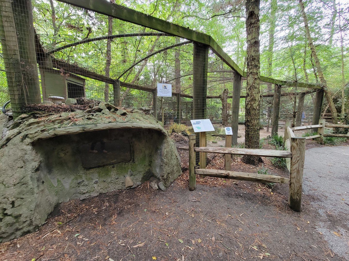 Salisbury - Beaver viewing, supposedly