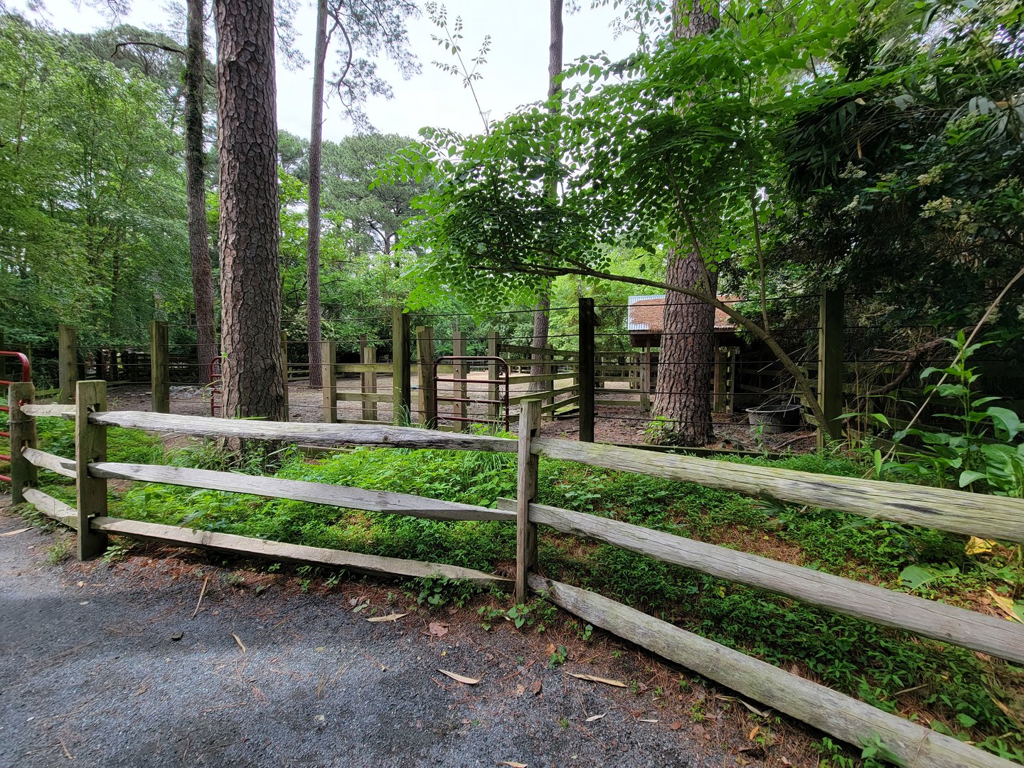 Salisbury - Bison holding area
