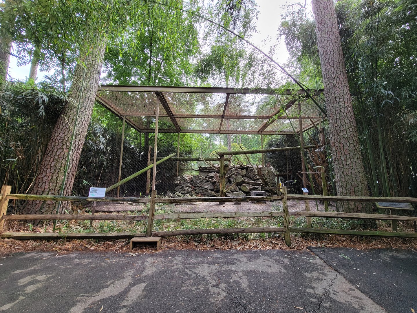 Salisbury - Canada Lynx exhibit, formerly held jaguar