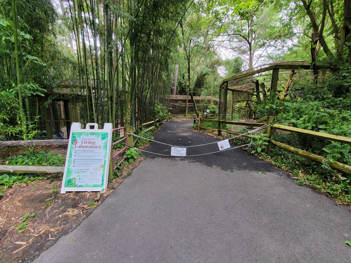 Salisbury - Coati/ocelot/tamarin path closed because of covid