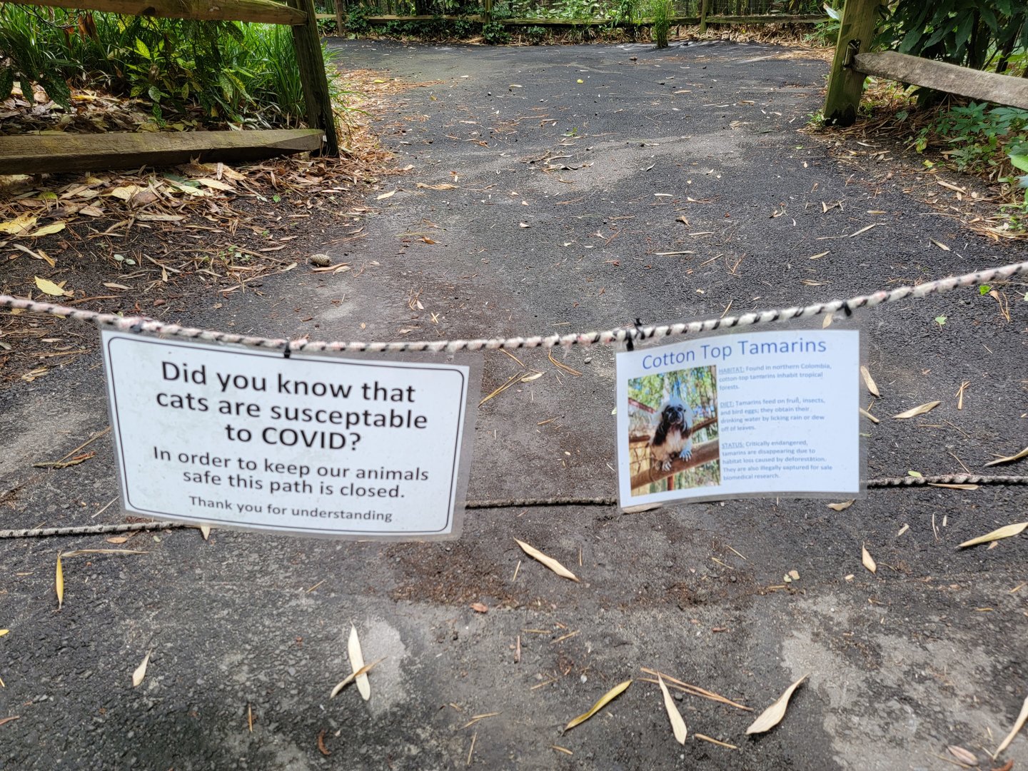 Salisbury - Coati/ocelot/tamarin path closed