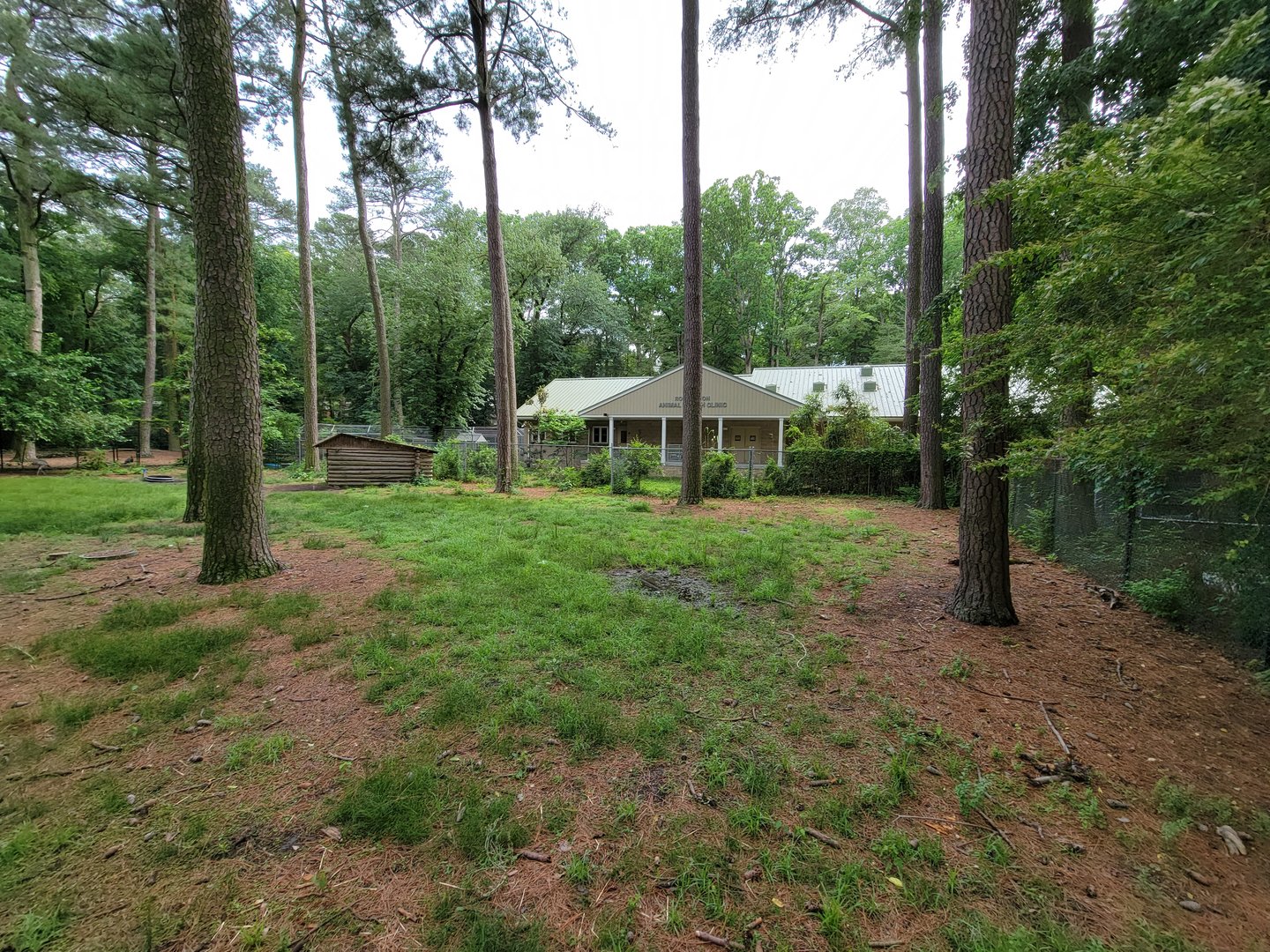 Salisbury - Corner of South American yard, with new veterinary building visible