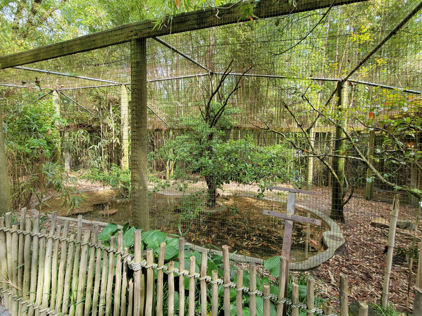 Salisbury - (empty?) American alligator pond