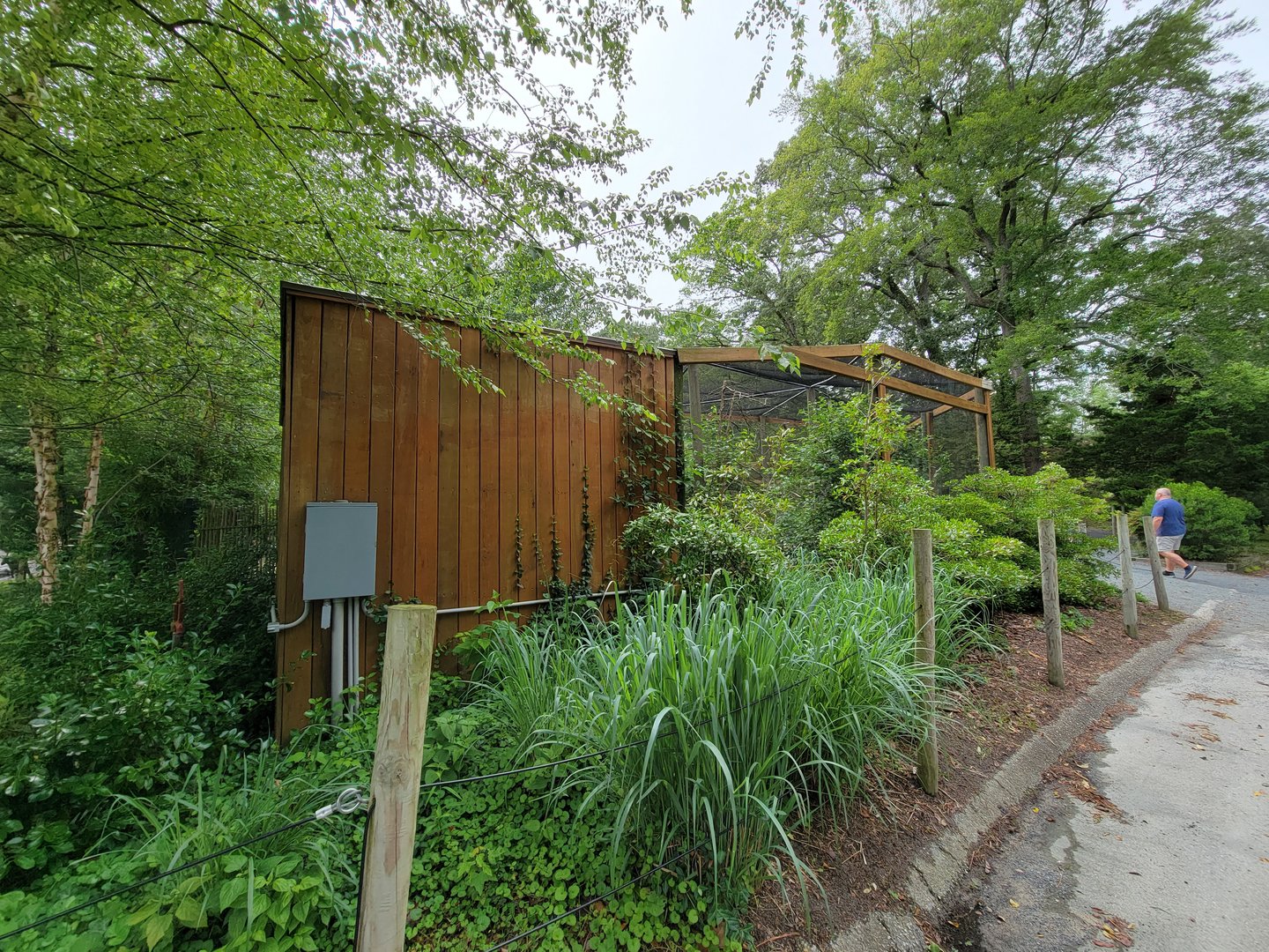 Salisbury - First Australia aviary