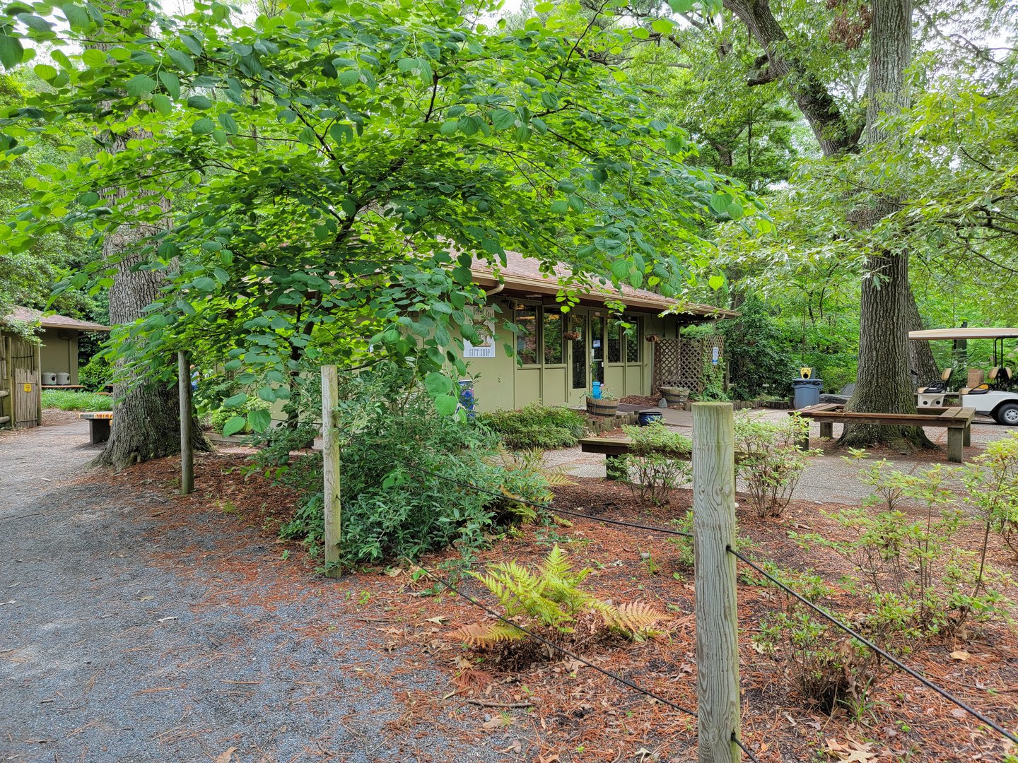 Salisbury - Gift shop